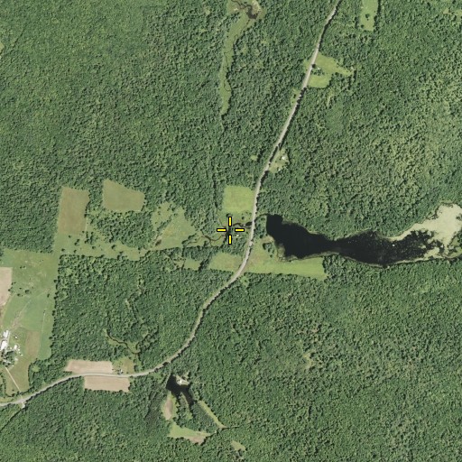 Aerial/Satellite Image of Angel Mill Brook, NY