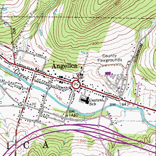 Topographic Map of Angelica, NY