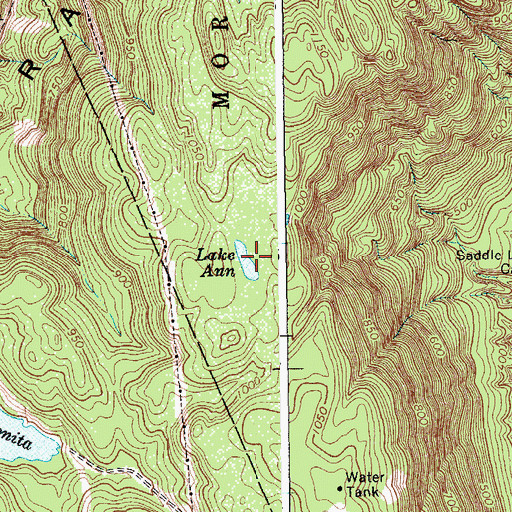 Topographic Map of Lake Ann, NY