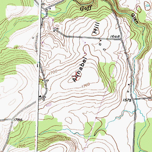 Topographic Map of Annabel Hill, NY