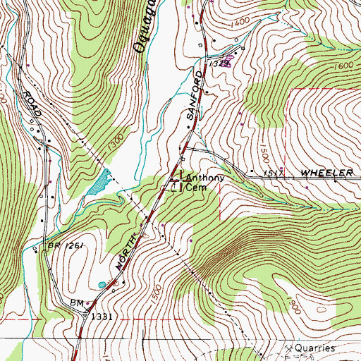 Topographic Map of Anthony Cemetery, NY
