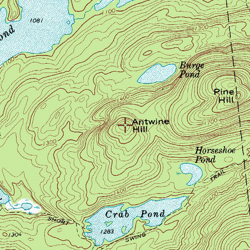 Topographic Map of Antwine Hill, NY