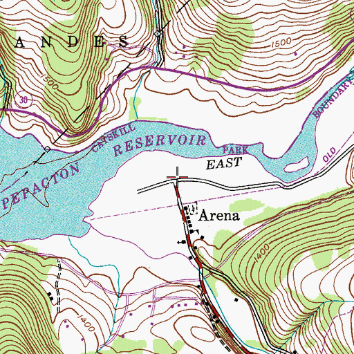 Topographic Map of Arena, NY