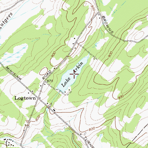 Topographic Map of Lake Arkin, NY