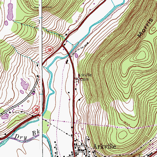 Topographic Map of Arkville Cemetery, NY