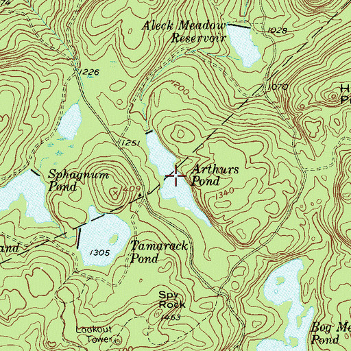 Topographic Map of Arthurs Pond, NY