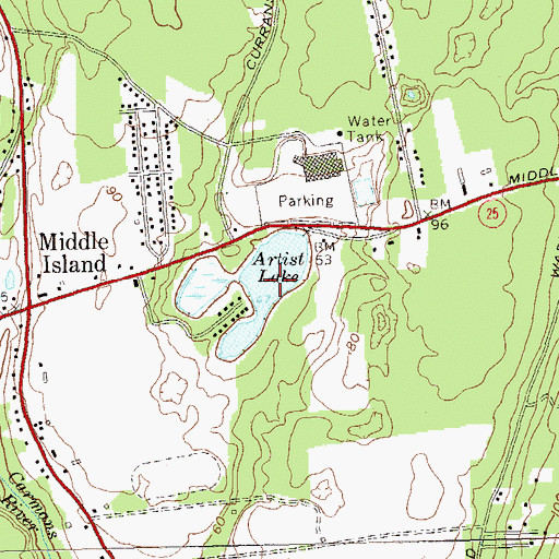 Topographic Map of Artist Lake, NY