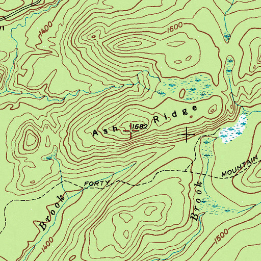 Topographic Map of Ash Ridge, NY