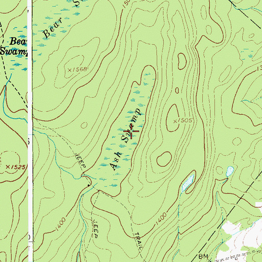 Topographic Map of Ash Swamp, NY