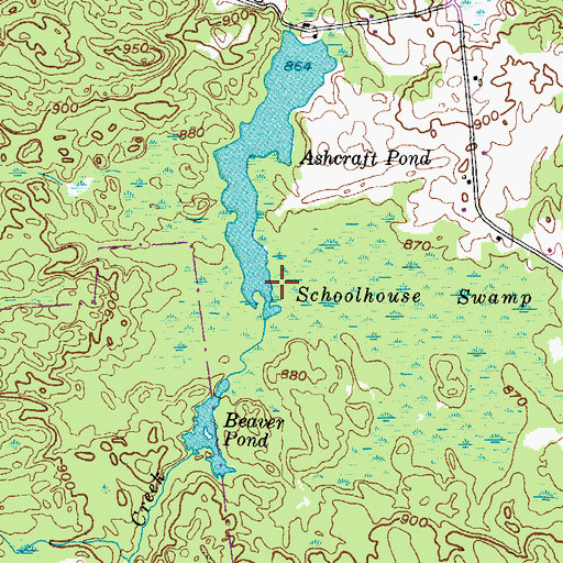 Topographic Map of Ashcraft Pond, NY