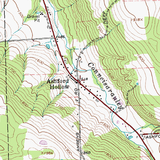 Topographic Map of Ashford Hollow, NY