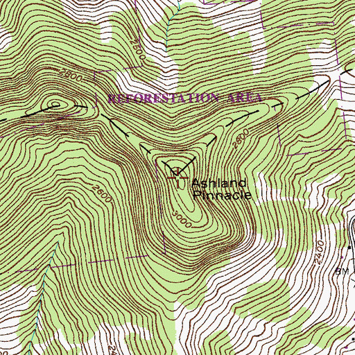 Topographic Map of Ashland Pinnacle, NY