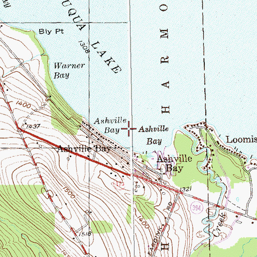 Topographic Map of Ashville Bay, NY