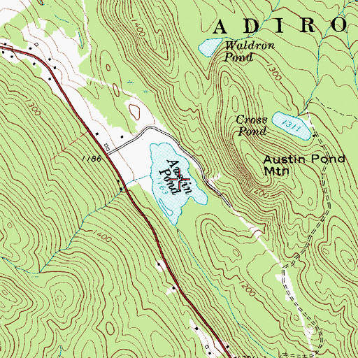 Topographic Map of Austin Pond, NY
