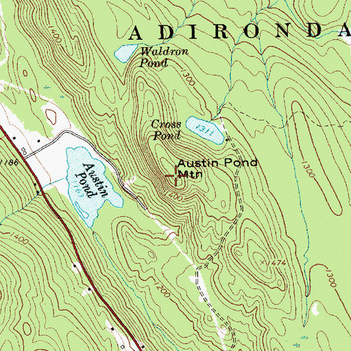Topographic Map of Austin Pond Mountain, NY