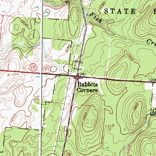 Topographic Map of Babbits Corners, NY