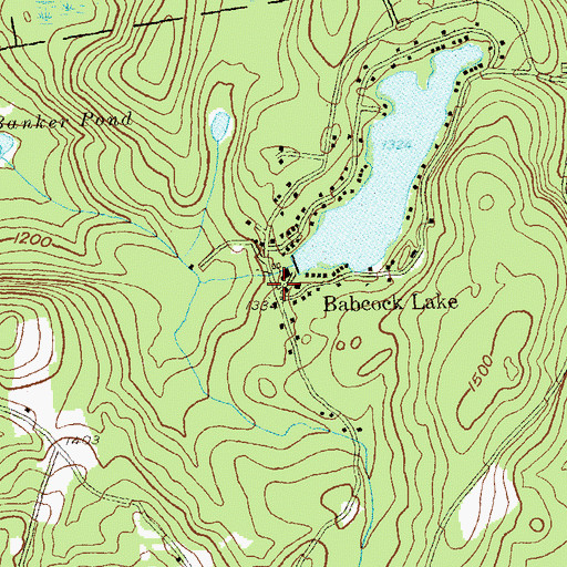 Topographic Map of Babcock Lake, NY