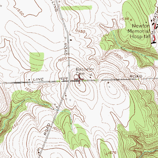 Topographic Map of Bachelor Cemetery, NY