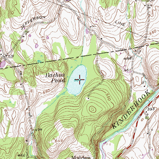 Topographic Map of Bachus Pond, NY