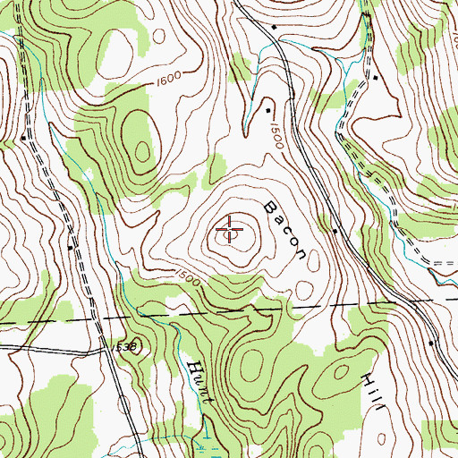 Topographic Map of Bacon Hill, NY