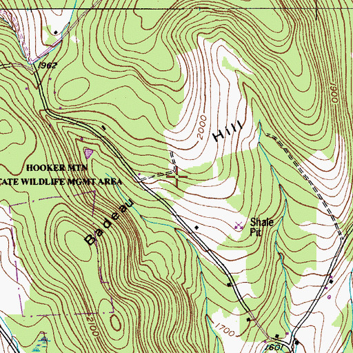 Topographic Map of Badeau Hill, NY