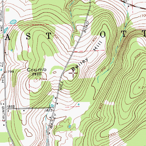 Topographic Map of Bailey Hill, NY