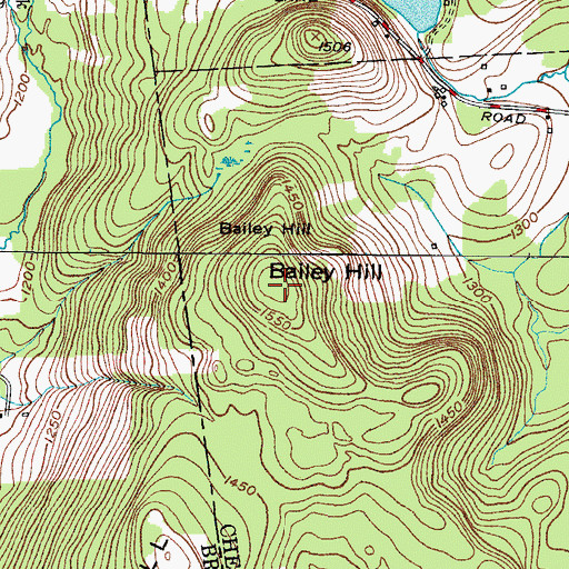 Topographic Map of Bailey Hill, NY