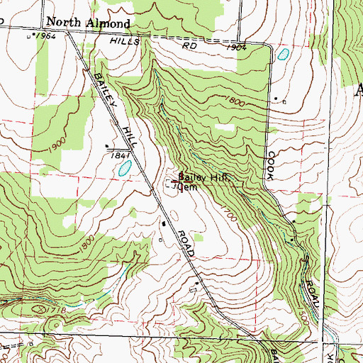Topographic Map of Bailey Hill Cemetery, NY