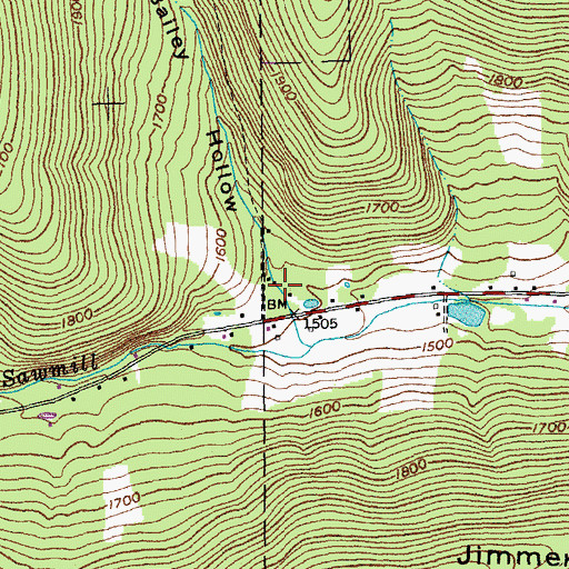 Topographic Map of Bailey Hollow, NY