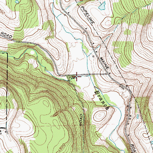 Topographic Map of Bailey Hollow, NY