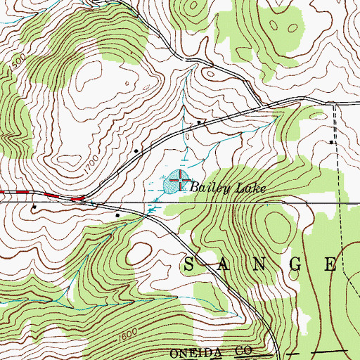 Topographic Map of Bailey Lake, NY