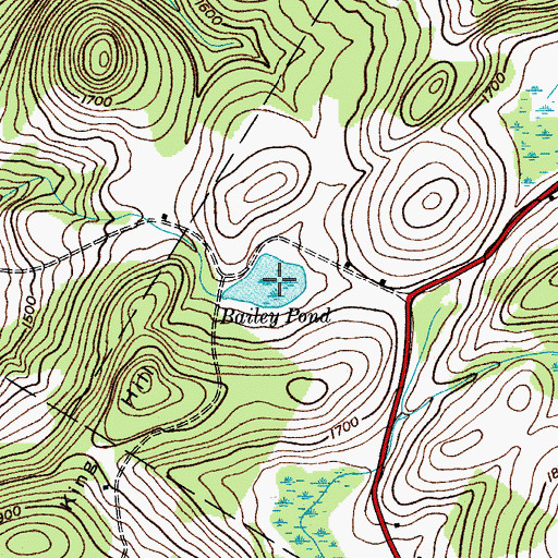 Topographic Map of Bailey Pond, NY