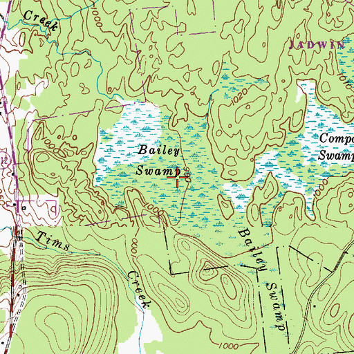 Topographic Map of Bailey Swamp, NY