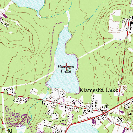 Topographic Map of Baileys Lake, NY