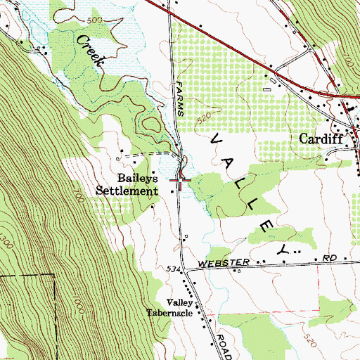 Topographic Map of Baileys Settlement, NY