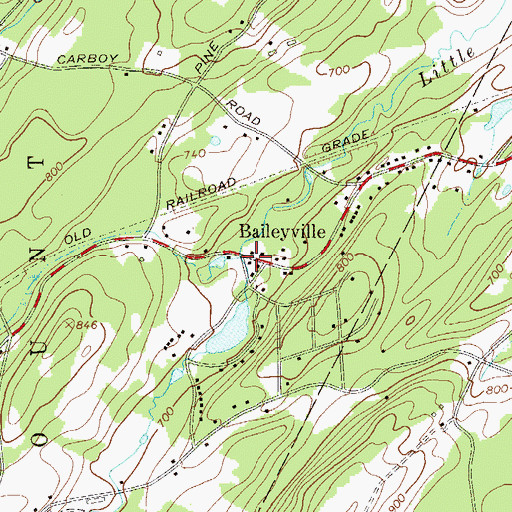 Topographic Map of Baileyville, NY