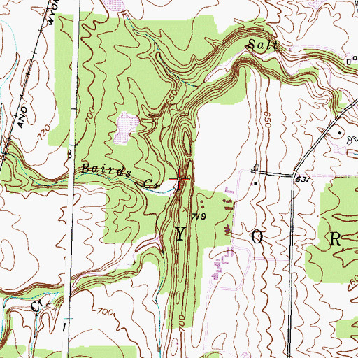 Topographic Map of Bairds Creek, NY