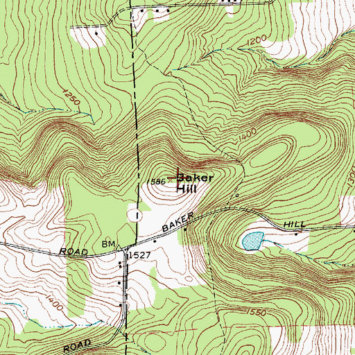 Topographic Map of Baker Hill, NY