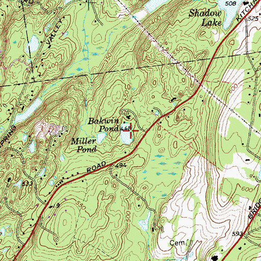 Topographic Map of Bakwin Pond, NY