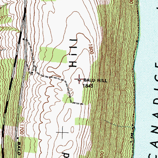 Topographic Map of Bald Hill, NY