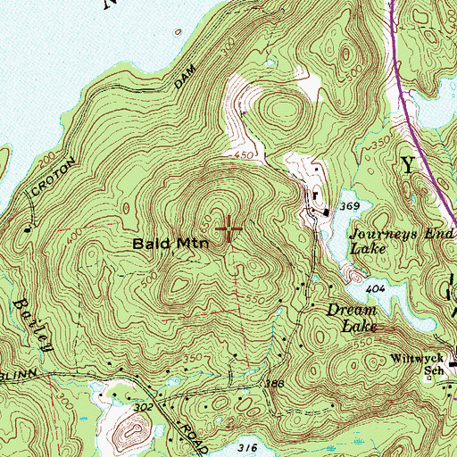 Topographic Map of Bald Mountain, NY