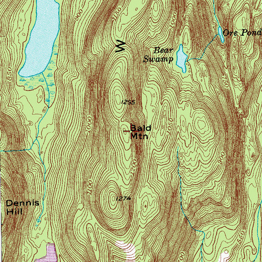 Topographic Map of Bald Mountain, NY