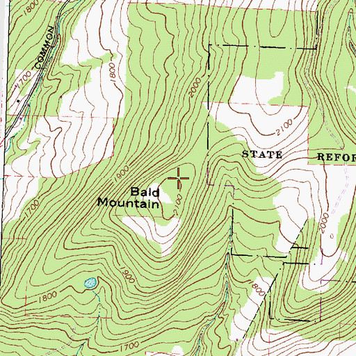 Topographic Map of Bald Mountain, NY