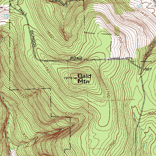 Topographic Map of Bald Mountain, NY
