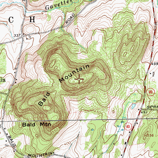 Topographic Map of Bald Mountain, NY
