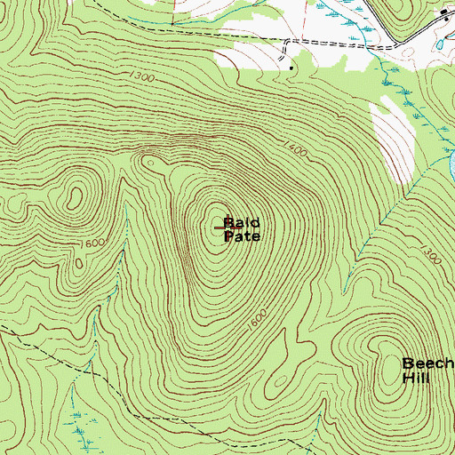 Topographic Map of Bald Pate, NY
