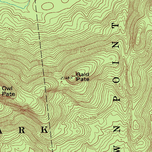 Topographic Map of Bald Pate, NY
