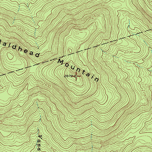 Topographic Map of Baldhead Mountain, NY
