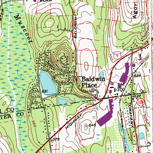 Topographic Map of Baldwin Place, NY