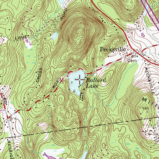 Topographic Map of Ballard Lake, NY